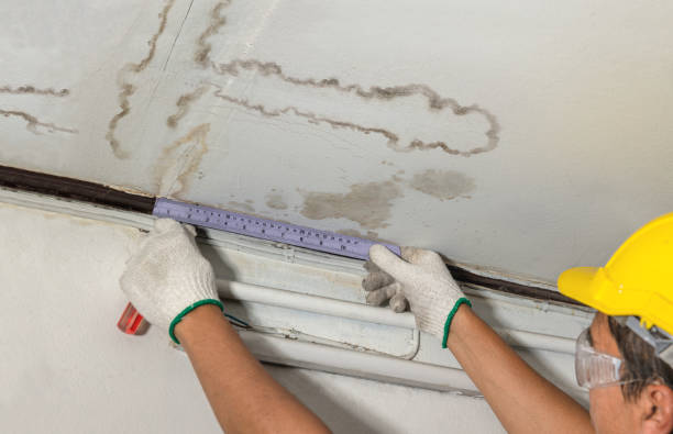 Reliable Water Damage Repair contractor in Clarkston, UT by Hirex Water Damage